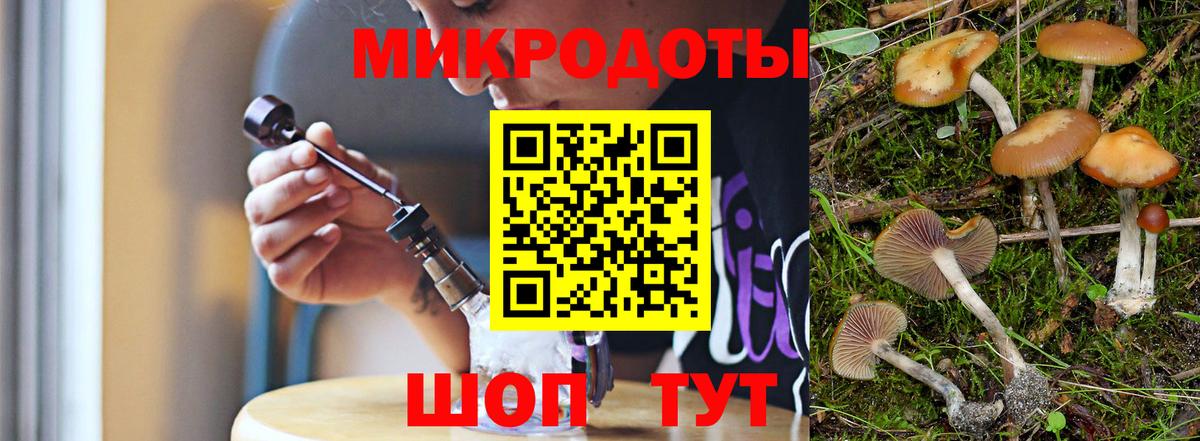 Псилоцибиновые грибы мицелий  Вход с VPN  Сызрань 